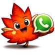WhatsApp Support