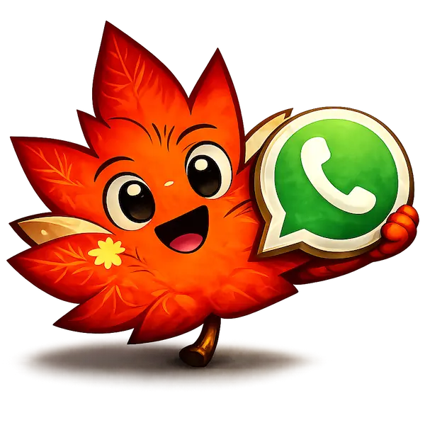 WhatsApp Support
